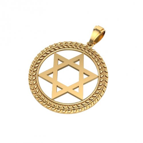 14K Gold Pendant Star of David with Olive Leaf Design on Circular Frame