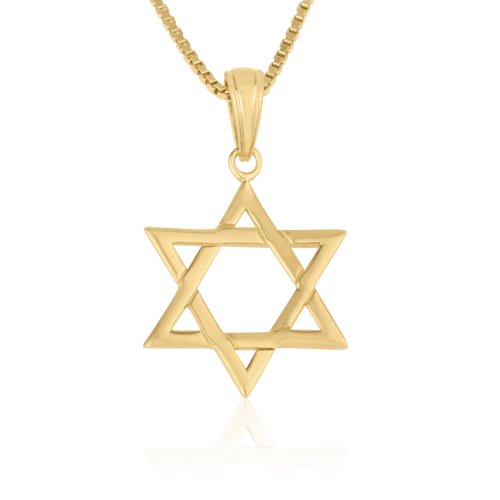 14k Gold Pendant Necklace - Star of David