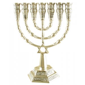 Silver Seven-Branch Menorah, Jerusalem Images and Star of David - 9.4" or 6"