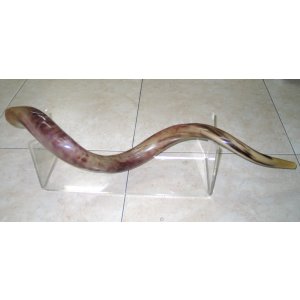 Extra Large Lucite Stand for Yemenite Shofars 40-52 Inches Long