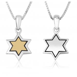 Pendant Necklace, Star of David - Sterling Silver and Gold Plate