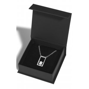 Stainless Steel Waterproof Necklace with Star of David in a Frame - Adi Sidler