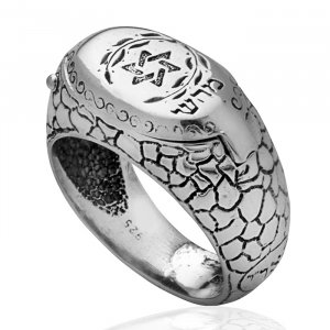 Silver Signet Snake Ring with Kabbalah Engravings and Secret Compartment - HaAri