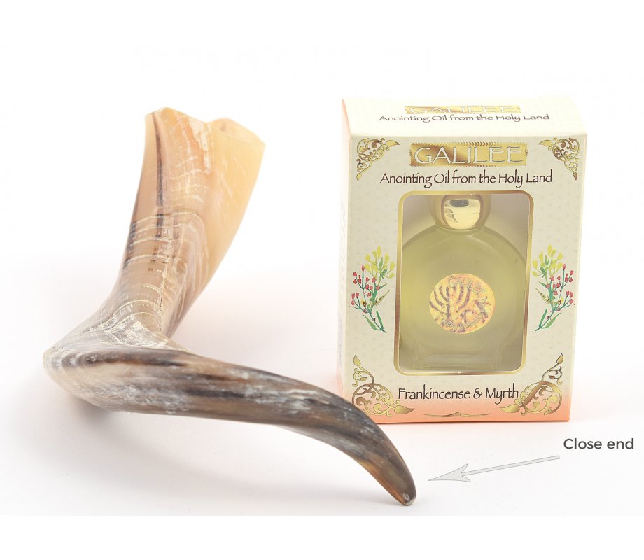 Anointing Shofar Made of a Natural Ram's Horn + Galilee Anointing Oil Frankincense and Myrrh