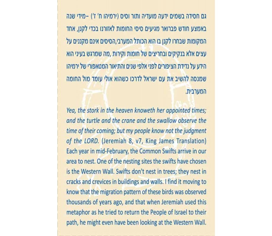 Brass Wall Hanging Jeremiah Blessing - Birds in Flight by Shraga Landesman