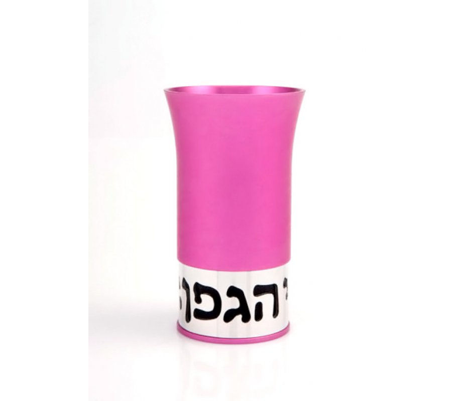Bright Pink Aluminum Havdalah Set Modern Design by Agayof