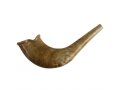 Children's Natural Color Plastic Shofar - Large