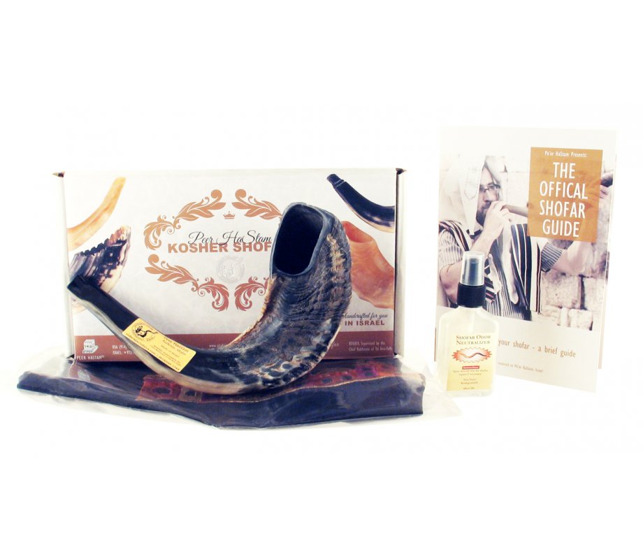 Complete Shofar Set Gift Box - Natural Black Ram's Horn