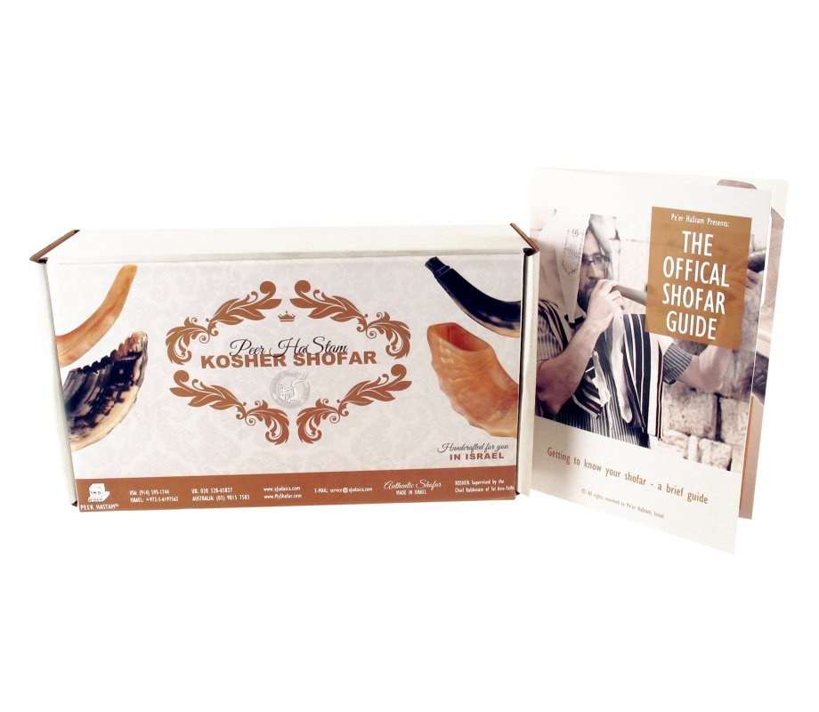 Complete Shofar Set Gift Box - Natural Black Ram's Horn