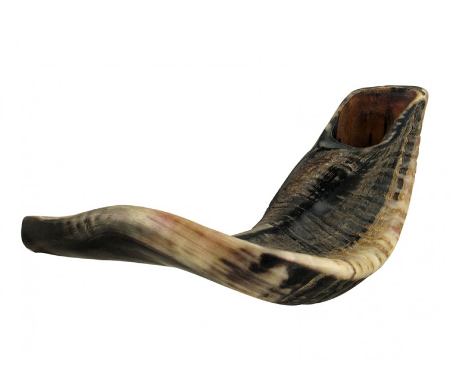 Complete Shofar Set Gift Box - Natural Black Ram's Horn