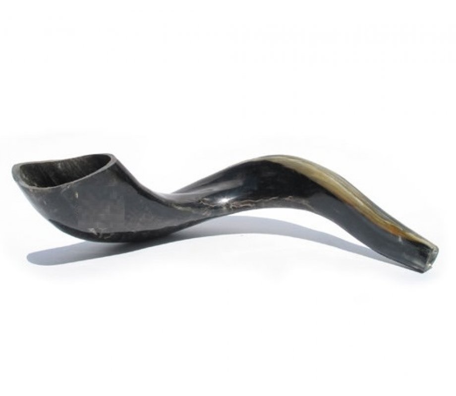 Complete Shofar Set Gift Box - Polished Black Ram's Horn