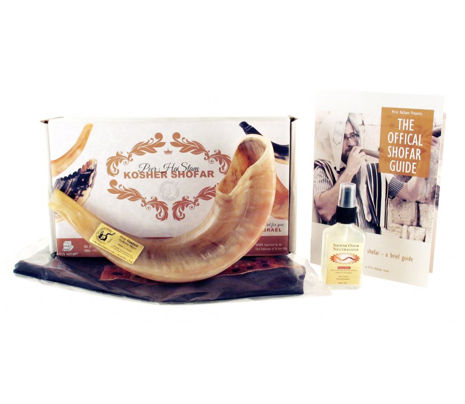 Complete Shofar Set Gift Box - Polished Ram's Horn