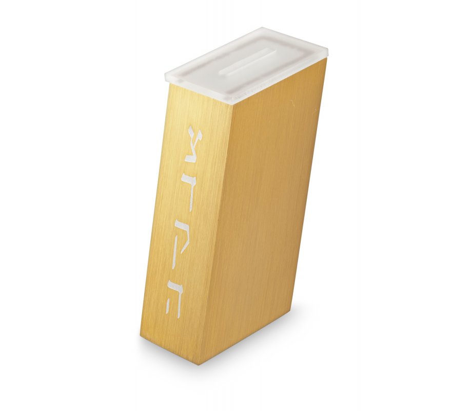 Contemporary Brushed Aluminum Tzedakah Charity Box, Gold - Adi Sidler