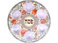 Dorit Judaica Raised Seder Plate  Colorful