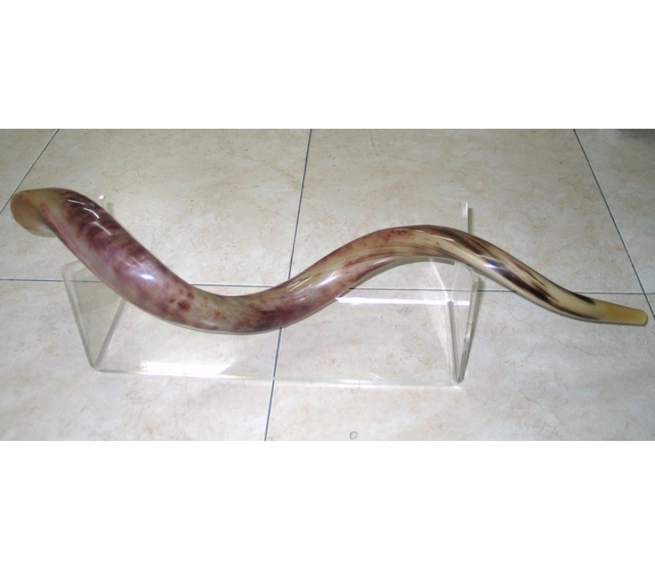 Extra Large Lucite Stand for Yemenite Shofars 40-52 Inches Long