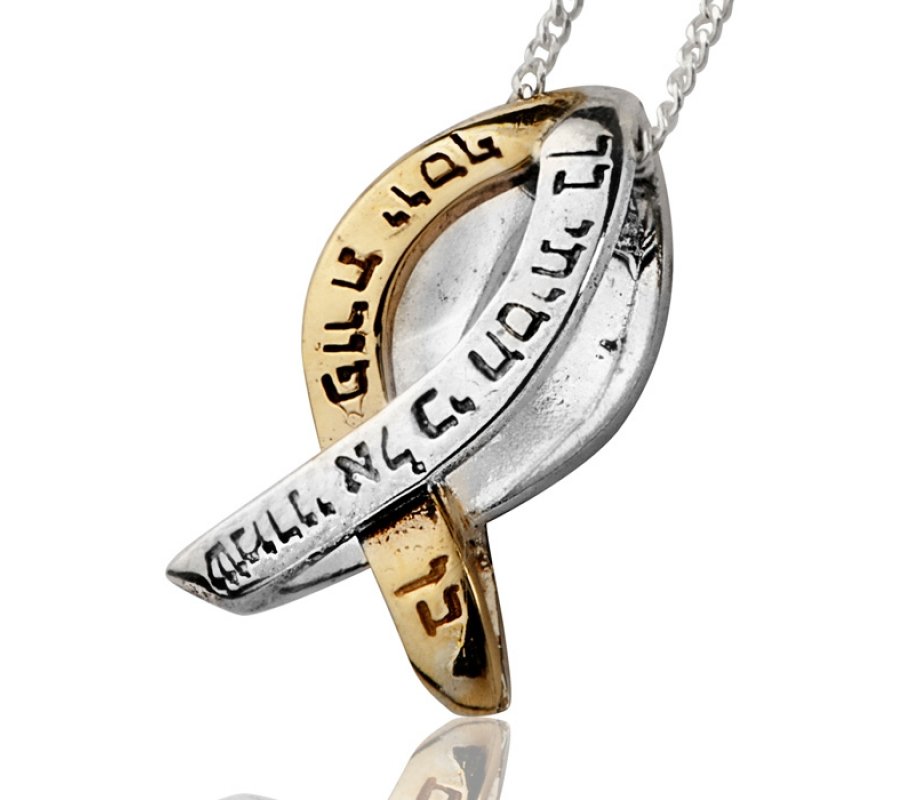 Fish Pendant for Protection by Ha'Ari - Silver & Gold