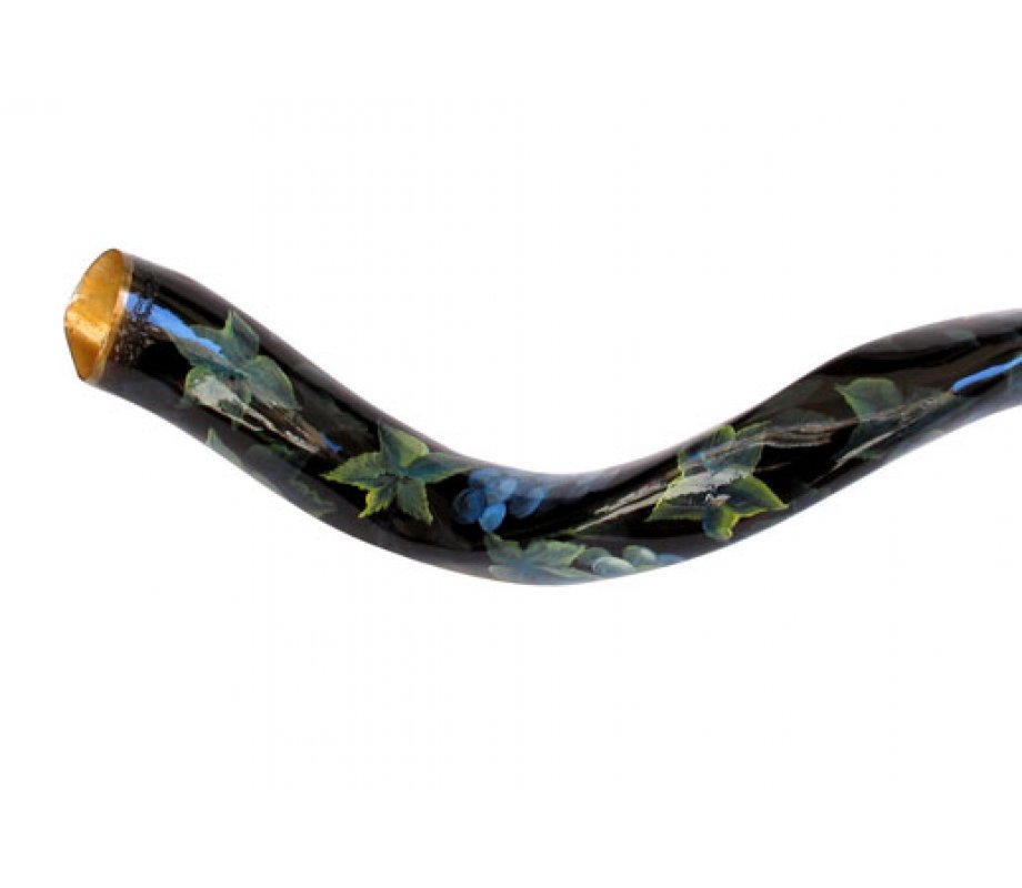 Grapevine Hand Painted Yemenite Shofar
