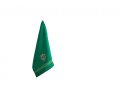 Green Dish Towel with Pomegranate Tree - Yair Emanuel