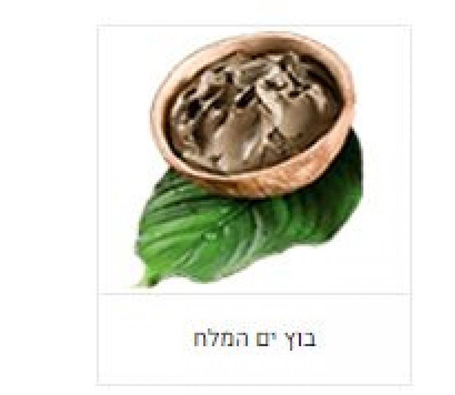 H&B Natural Mud from the Dead Sea Filled with Healthy Minerals