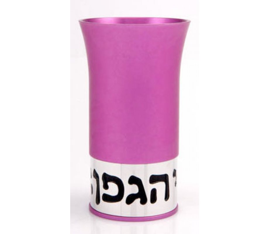 Hagafen Kiddush Cup Set by Agayof - Hot Pink