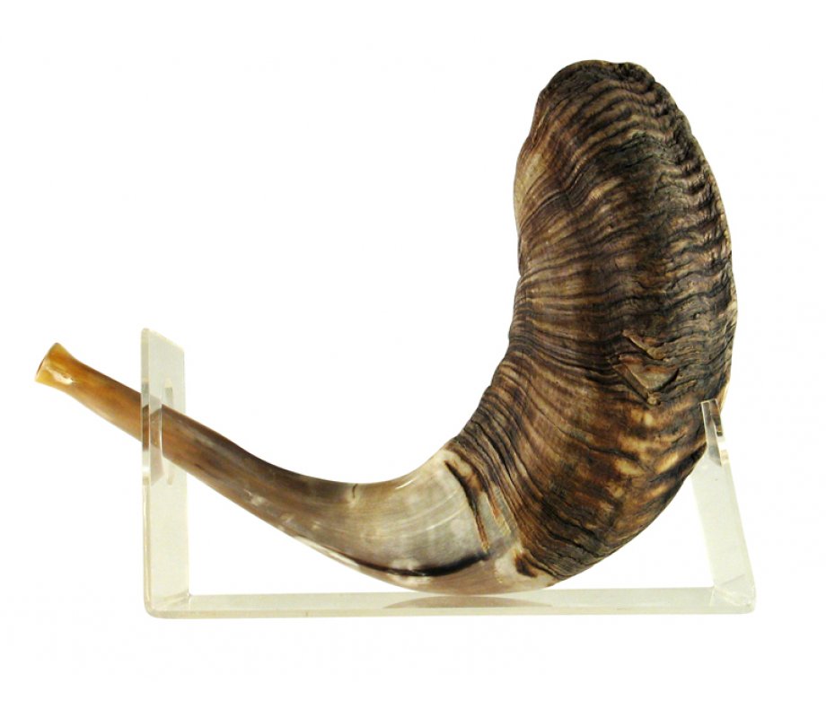 Lucite Shofar Stand for Large Ram's Horn of 18-23 Inches Long