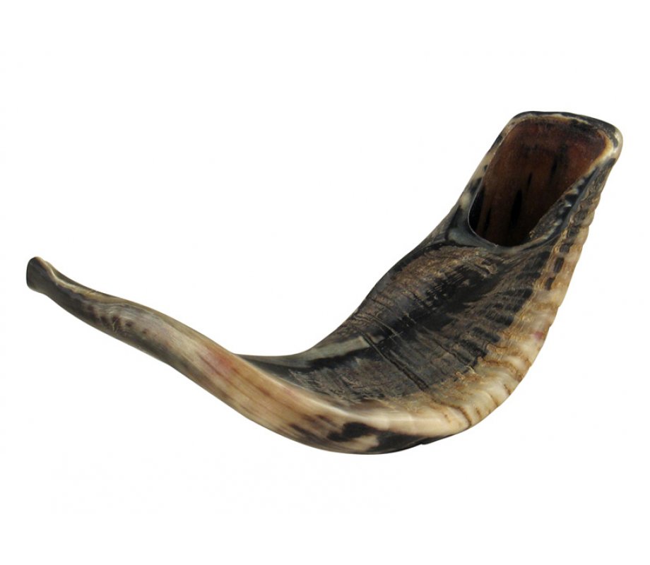 Natural Black Rams Horn Shofar - Large