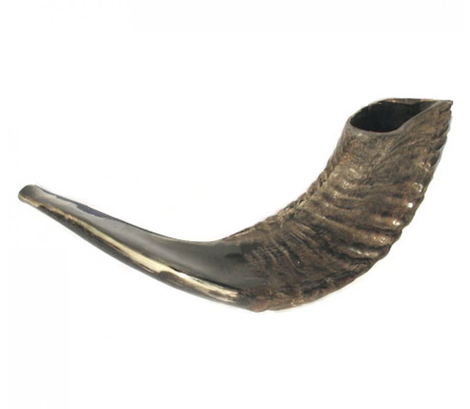 Natural Finish Black Rams Horn Shofar - Medium