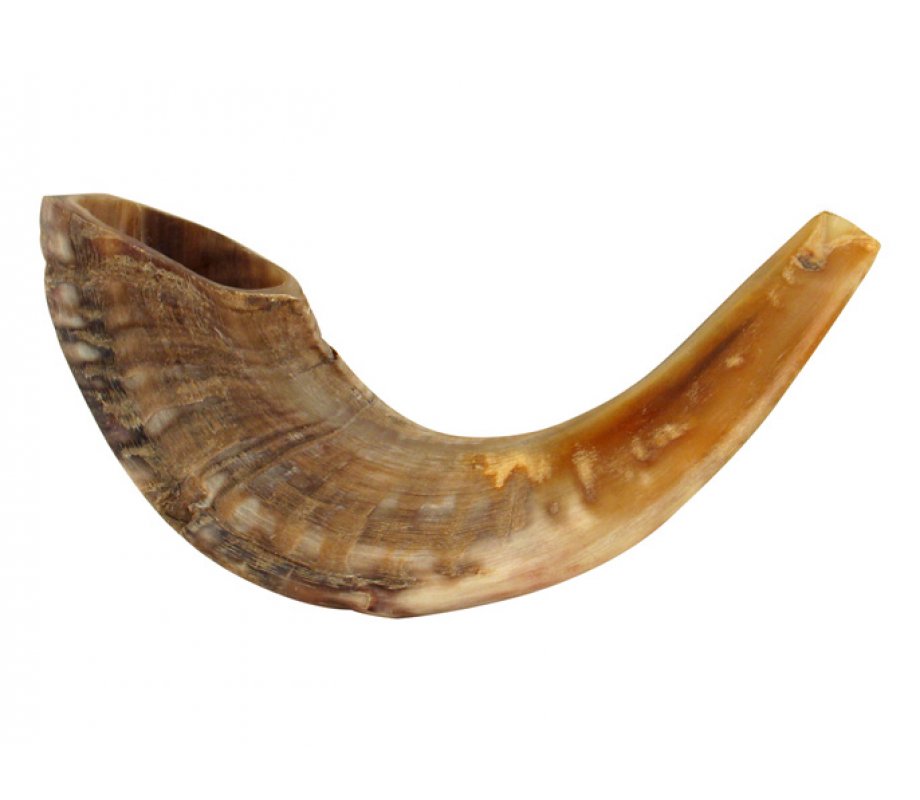 Natural Rams Horn Shofar - Medium