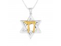 Pendant of Star of David with 14K Gold Plated Chai Letters – Sterling Silver Necklace