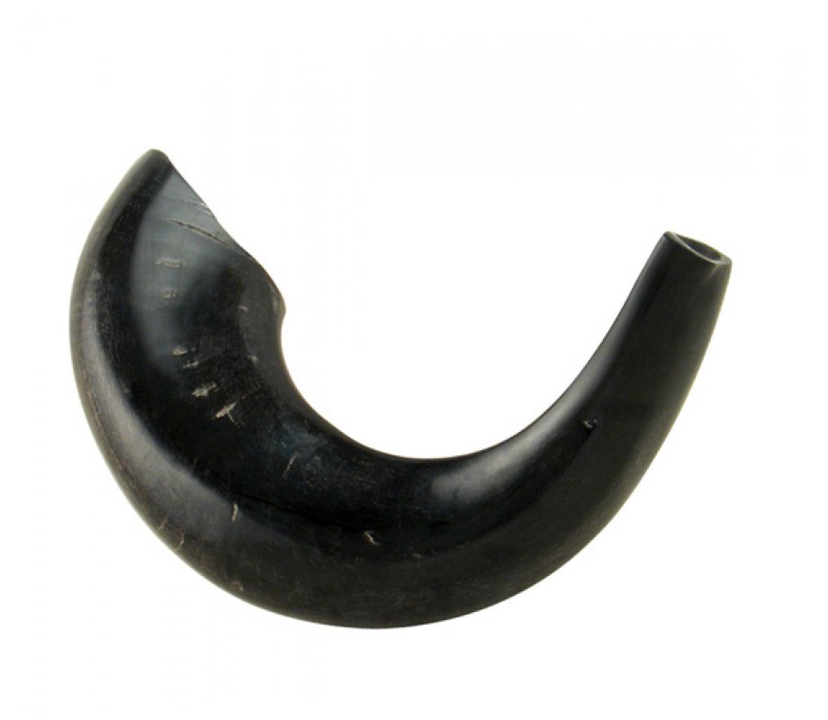 Polished Black Rams Horn Shofar - Medium
