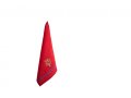 Red Dish Towel with Pomegranate Tree - Yair Emanuel