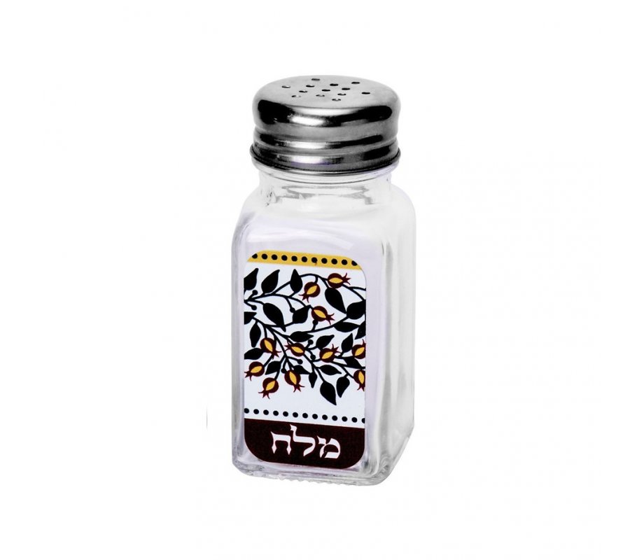 Salt Shaker Set - Hebrew Letters with Red Pomegranates by Dorit Judaica