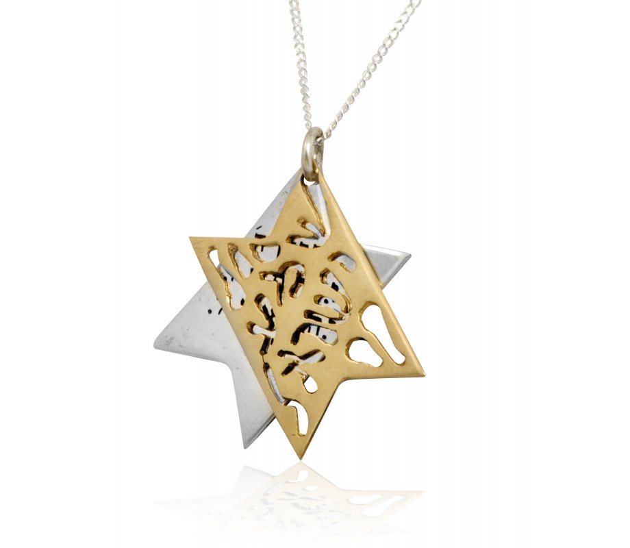 Shema Yisrael Star of David Two-Tone Pendant 9K Gold & Sterling Silver by HaAri Jewelry
