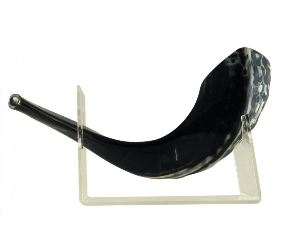 Shofar Stand Lucite for Small Ram's Horn Up To 15 Inches long
