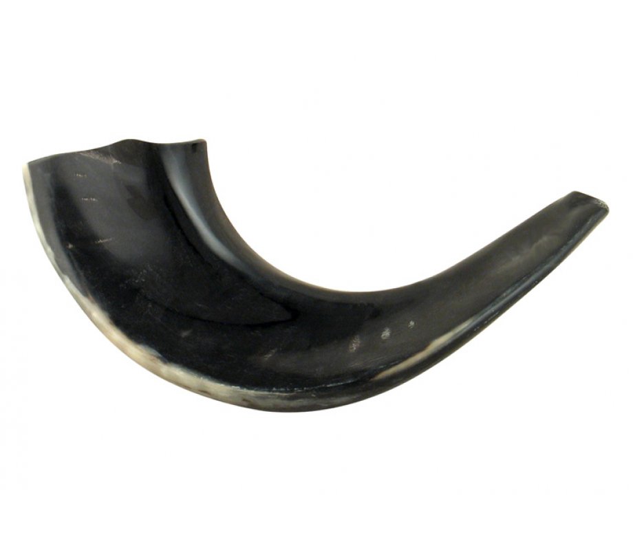 Small Black Ram's Horn Shofar - Polished
