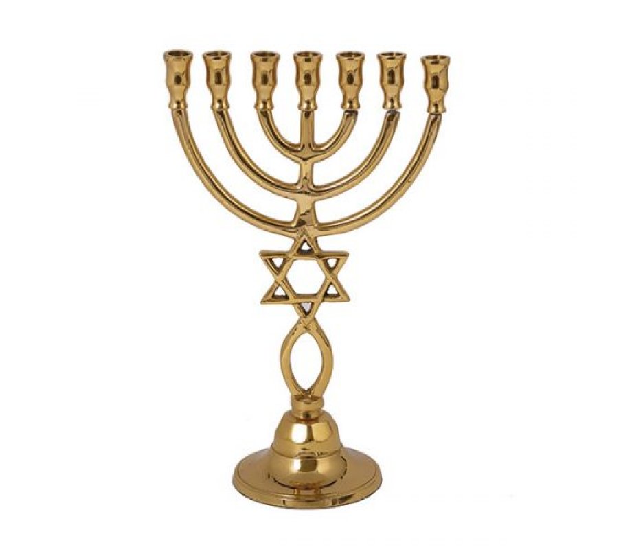 Star of David and Fish Symbol 7-Branch Menorah