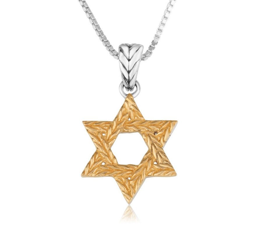 Sterling Necklace of Sterling Silver Gold Plated - Star of David Textured