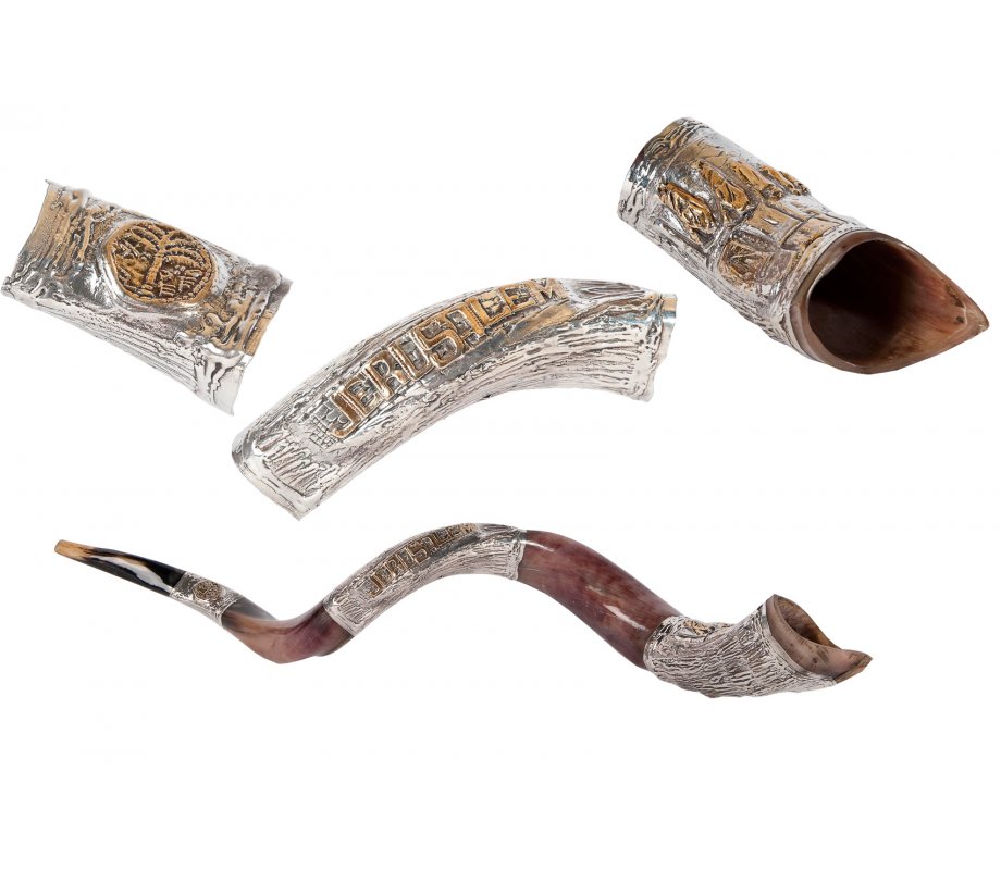 Sterling Silver Decorated Yemenite Shofar - Ancient coin design