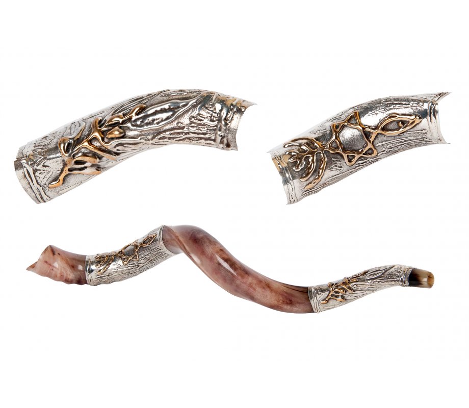 Sterling Silver Decorated Yemenite Shofar - Star of David