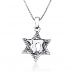 Sterling Silver Pendant Necklace - Chai on Star of David