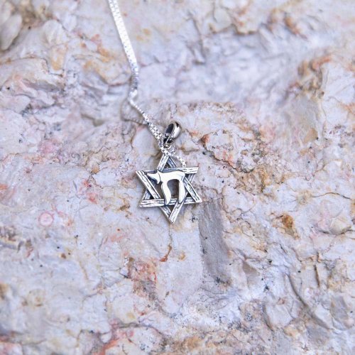 Sterling Silver Pendant Necklace - Chai on Star of David