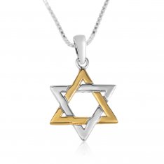 Sterling Silver Pendant Necklace - Two Tone Classic Star of David