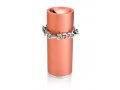 Tzedakah Box in Salmon Pink by Dabbah