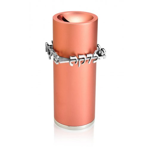 Tzedakah Box in Salmon Pink by Dabbah