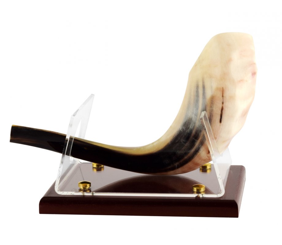 Wood Base Acrylic Stand for Ram's Horn Shofar